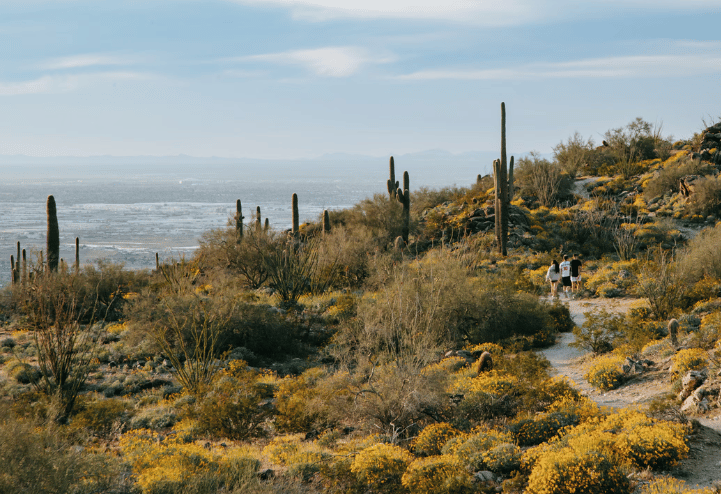 Ahwatukee Arizona